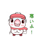 桜文鳥の僕と白文鳥のクーミンでーす。（個別スタンプ：28）