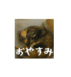 クスッと笑える小花達の会話2（個別スタンプ：4）