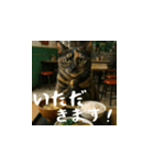 クスッと笑える小花達の会話2（個別スタンプ：5）