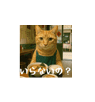 クスッと笑える小花達の会話2（個別スタンプ：7）