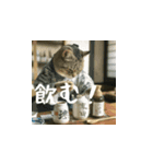 クスッと笑える小花達の会話2（個別スタンプ：9）