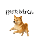 【関西弁】柴犬の日常会話で使える関西弁（個別スタンプ：19）