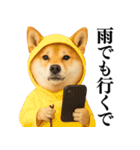 【関西弁】柴犬の日常会話で使える関西弁（個別スタンプ：20）