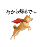 【関西弁】柴犬の日常会話で使える関西弁（個別スタンプ：23）