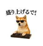 【関西弁】柴犬の日常会話で使える関西弁（個別スタンプ：26）