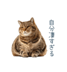 煽る実写ネコ【面白い・煽り】（個別スタンプ：15）