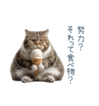 煽る実写ネコ【面白い・煽り】（個別スタンプ：23）
