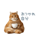 煽る実写ネコ【面白い・煽り】（個別スタンプ：27）