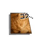 猫可愛い❤️（個別スタンプ：7）