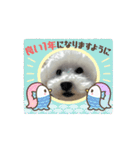 milkykun（個別スタンプ：9）