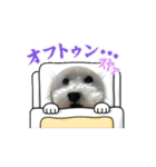 milkykun（個別スタンプ：11）