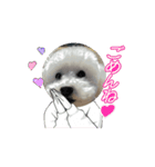 milkykun（個別スタンプ：12）