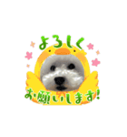 milkykun（個別スタンプ：14）