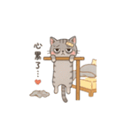 Why-Meow の 囧ねこ日記（個別スタンプ：10）
