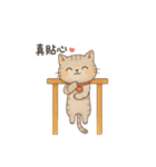 Why-Meow の 囧ねこ日記（個別スタンプ：14）