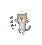 Why-Meow の 囧ねこ日記（個別スタンプ：16）