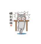 Why-Meow の 囧ねこ日記（個別スタンプ：17）