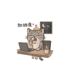Why-Meow の 囧ねこ日記（個別スタンプ：32）