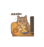 Why-Meow の 囧ねこ日記（個別スタンプ：33）