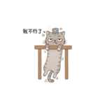 Why-Meow の 囧ねこ日記（個別スタンプ：38）