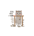 Why-Meow の 囧ねこ日記（個別スタンプ：40）