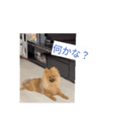 ドリーちゃん＆ウナくん①（個別スタンプ：2）
