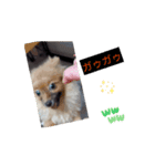 ドリーちゃん＆ウナくん①（個別スタンプ：7）