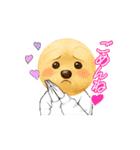 癒しのワン介さんだモン（個別スタンプ：5）