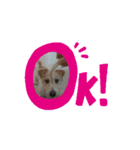 ☆れおんくん☆（個別スタンプ：1）