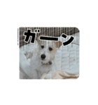 ☆れおんくん☆（個別スタンプ：2）