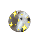 ☆れおんくん☆（個別スタンプ：3）