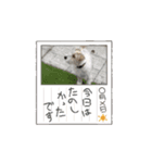 ☆れおんくん☆（個別スタンプ：5）