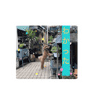 マルプーのモブ6（個別スタンプ：11）