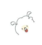 いいポメラニアン I（個別スタンプ：5）