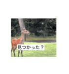 ゴルフ女子と鹿⛳️（個別スタンプ：6）