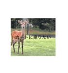 ゴルフ女子と鹿⛳️（個別スタンプ：8）