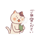 人みたいな生活をするネコ（個別スタンプ：14）