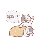 人みたいな生活をするネコ（個別スタンプ：32）