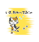 ゆるく生きるニャンズたち（個別スタンプ：11）
