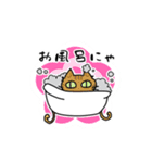 ゆるく生きるニャンズたち（個別スタンプ：30）