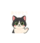 ハチワレMIRUさんb（個別スタンプ：1）