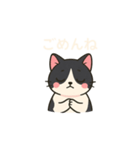 ハチワレMIRUさんb（個別スタンプ：2）