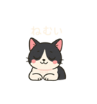 ハチワレMIRUさんb（個別スタンプ：3）