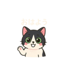 ハチワレMIRUさんb（個別スタンプ：4）