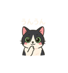 ハチワレMIRUさんb（個別スタンプ：5）