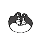 へばねの動物の動くスタンプ▼（個別スタンプ：15）