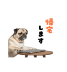 動く！パグ2【家族連絡】（個別スタンプ：10）