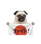動く！パグ2【家族連絡】（個別スタンプ：16）