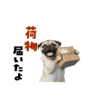 動く！パグ2【家族連絡】（個別スタンプ：22）