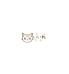 【小さい】トラ猫さん（個別スタンプ：5）
